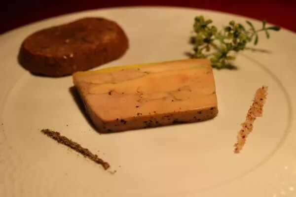 Terrine CANARD / mi-cuit